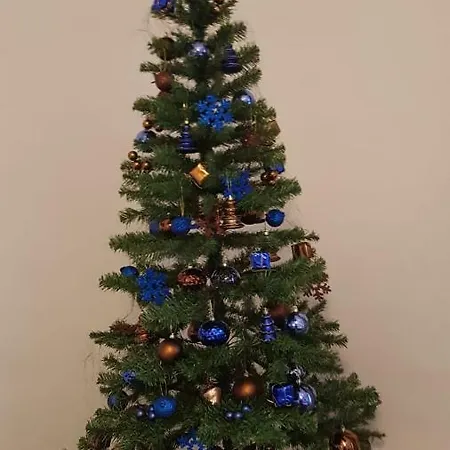 Lorenz * هاتنغن